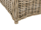 Banc de jardin avec coussin 141 cm Rotin naturel