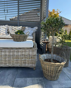 Banc de jardin avec coussin 141 cm Rotin naturel