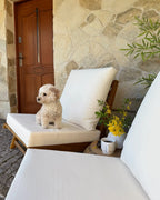 Chaise avec coussin Bois d'acacia Blanc cassé
