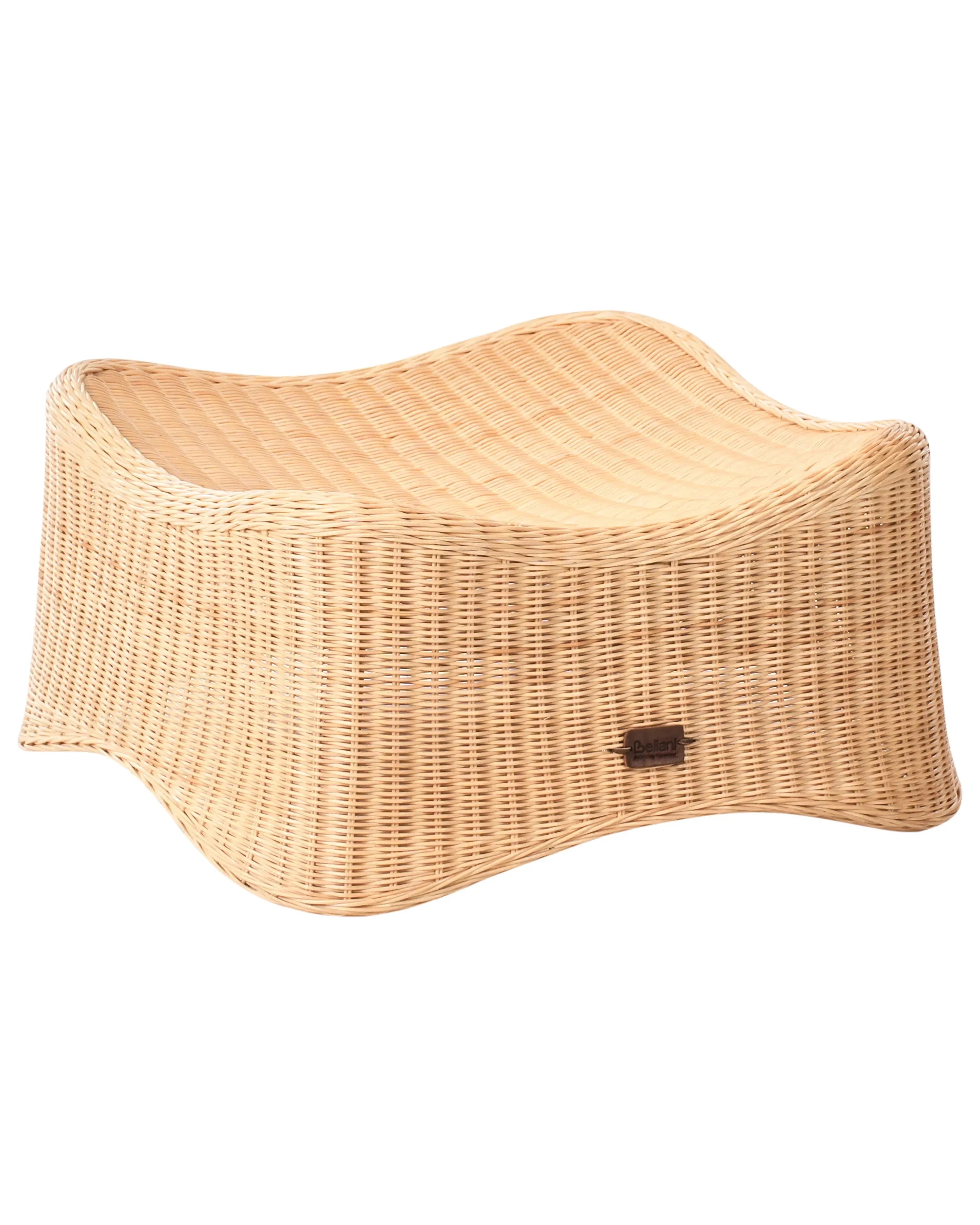 Fauteuil de jardin avec pouf Rotin Naturel
