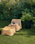 Fauteuil de jardin avec pouf Rotin Naturel